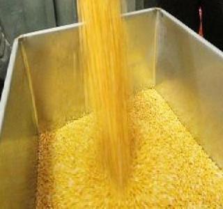 At the home of 3,540 peasants | ३,५४० शेतकऱ्यांची तूर घरीच At the home of 3,540 peasants | ३,५४० शेतकऱ्यांची तूर घरीच