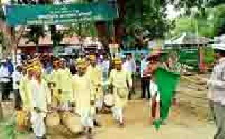 A record 43 lakh trees have been planted in Chandrapur district | चंद्रपूर जिल्ह्यात विक्रमी ४३ लाख वृक्ष लागवड