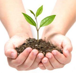 Live a tree .. Get water free throughout the year | एक झाड जगवा.. वर्षभर पाणी मोफत मिळवा Live a tree .. Get water free throughout the year | एक झाड जगवा.. वर्षभर पाणी मोफत मिळवा