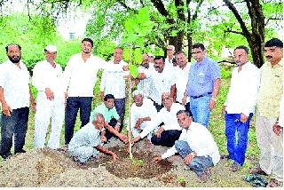 Fifty-five trees and mothers will be respected | पाचशे झाडे लावून आईला वाहिली आदरांजली Fifty-five trees and mothers will be respected | पाचशे झाडे लावून आईला वाहिली आदरांजली