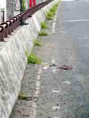 About the flyover | उड्डाणपुलाविषयी प्रशासन निद्रिस्त About the flyover | उड्डाणपुलाविषयी प्रशासन निद्रिस्त