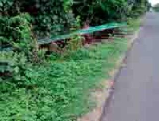 Over the years, the border between Maharashtra and Maharashtra is in transit: the inefficient neglect of the construction department | वर्ष लोटूनही महाराष्ट्र सीमेचा फलक रस्त्याच्या कडेलाचफलकाचे भंगारात होतेय रूपांतर : बांधकाम विभागाचे अक्षम्य दुर्लक्ष