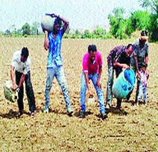 Vidarbha sinking crisis; Farmer worries | विदर्भात दुबार पेरणीचे संकट; शेतकरी चिंतेत Vidarbha sinking crisis; Farmer worries | विदर्भात दुबार पेरणीचे संकट; शेतकरी चिंतेत