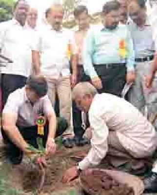 Planting of trees will be measured every month | लागवडीच्या वृक्षांचे होणार दर महिन्याला मोजमाप