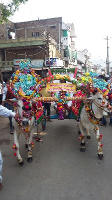 Taurus sprinkle for acid water | आकोटात पाण्याकरीता वृषभराजाची मिरवणुक