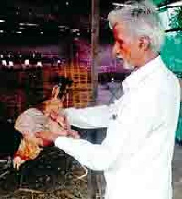 Hooked by a leopard | बिबट्याने कोंबड्या केल्या फस्त Hooked by a leopard | बिबट्याने कोंबड्या केल्या फस्त