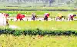 Pleasant arrival of rain | पावसाचे सुखद आगमन Pleasant arrival of rain | पावसाचे सुखद आगमन