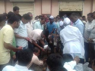 Goth-donkey wedding for rain in the pot | वाठारमध्ये पावसासाठी गाढव-गाढवीणीचे लावले लग्न