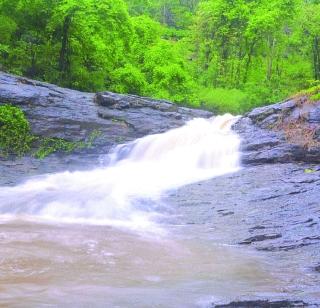 Vadpada waterfall floods tourists | वडपाडा धबधब्यावर पर्यटकांचा पूर Vadpada waterfall floods tourists | वडपाडा धबधब्यावर पर्यटकांचा पूर