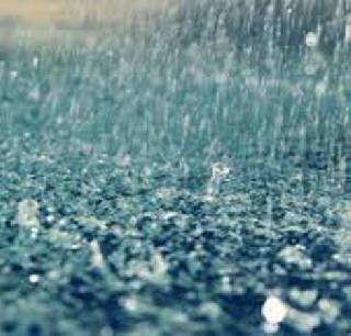 Rainfall is alarming in 12 districts of the state | राज्यातील 12 जिल्ह्यांमध्ये पावसाची परिस्थिती चिंताजनक Rainfall is alarming in 12 districts of the state | राज्यातील 12 जिल्ह्यांमध्ये पावसाची परिस्थिती चिंताजनक