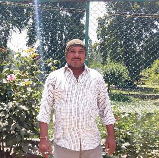 Salim root Jalgaon driver of life saving of many pilgrims | अनेक यात्रेकरुंचे जीव वाचवणारा ड्रायव्हर सलीम मूळ जळगावचा Salim root Jalgaon driver of life saving of many pilgrims | अनेक यात्रेकरुंचे जीव वाचवणारा ड्रायव्हर सलीम मूळ जळगावचा