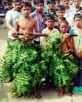 May God rain now | देवबाप्पा आता तरी पाऊस पाड