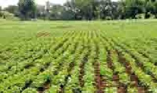 Half percent of nationalized banks progress | राष्ट्रीयकृत बँकांची प्रगती अर्धा टक्का Half percent of nationalized banks progress | राष्ट्रीयकृत बँकांची प्रगती अर्धा टक्का