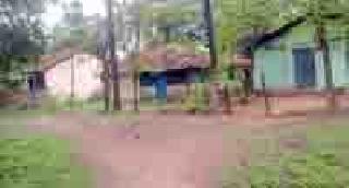 The houses in the forest section | वनविभागाच्या निवासस्थानांना घरघर