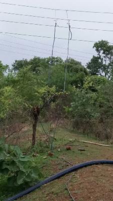 Akoda Taran Vijchori | आकोडा टाकुन विजचोरी