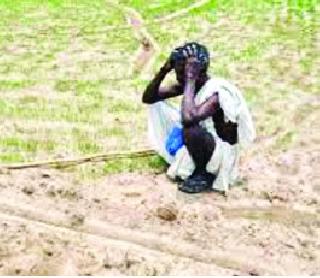 Crop inspection of the district! | जिल्ह्यातील पीक पाहणी खोळंबली! Crop inspection of the district! | जिल्ह्यातील पीक पाहणी खोळंबली!