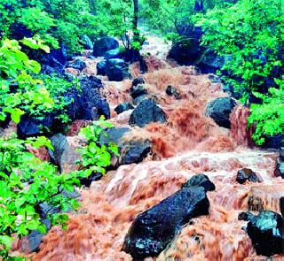 Due to the sowing crisis of the district! | जिल्ह्यात दुबार पेरणीचे संकट टळले!