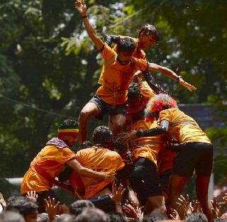 What is the nature of adventure sports? The court rebuked | साहसी क्रीडा प्रकार म्हणजे नेमके काय? न्यायालयाने फटकारले