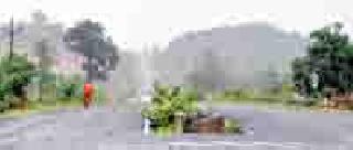 Seasonal touch: | ऋतू स्पर्श : Seasonal touch: | ऋतू स्पर्श :