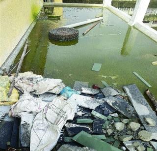 Dangue of APMC, Dangerous with Malaria | एपीएमसी पसरवतेय डेंग्यू, मलेरियाची साथ