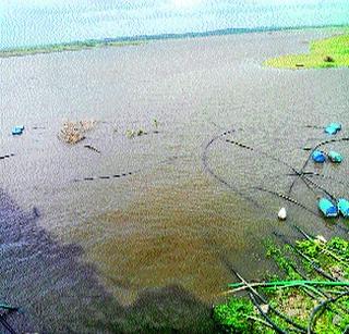 Increase in level of Ujani damages | उजनी धरणाच्या पातळीत वाढ