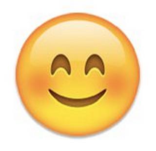 What is the 'Emo' used every day? | रोज सतत वापरतो ते ‘इमो’ काय सांगतात?