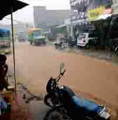 Heavy rains made the victims happy | दमदार पावसाने बळीराजा सुखावला