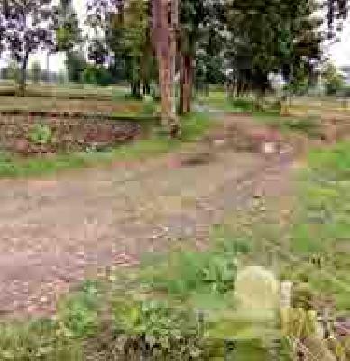 Route detonation due to electric tumble | विद्युततारा कोलमडल्याने रोवणी खोळंबली