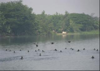 Go away from your city to enjoy the monsoon? Then go directly to Kolkata. Different types of monsoons can be experienced here! | आपल्या शहरापासून दूर जावून पावसाळा एन्जॉय करायचाय? मग थेट कोलकाता गाठा. पावसाळ्याची वेगवेगळी रूपं अनुभवायला मिळतात इथे!