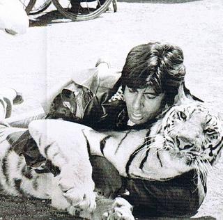 The director decided to call Amitabh Bachchan to see this photo | ...हा फोटो पाहून दिग्दर्शकांनी अमिताभ बच्चन यांना ठरवलं वेडा The director decided to call Amitabh Bachchan to see this photo | ...हा फोटो पाहून दिग्दर्शकांनी अमिताभ बच्चन यांना ठरवलं वेडा