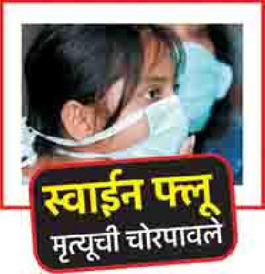 Preventive measures to prevent the swine flu | ‘स्वाईन फ्लू’च्या अटकावासाठी प्रतिबंधात्मक उपाययोजना