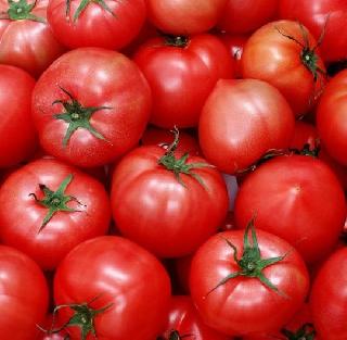 Mumbai - Gold of Tomato, 900 kg of tomatoes stolen from Dahisar | मुंबई - टोमॅटोला सोन्याचा भाव, दहिसरमधून 900 किलो टोमॅटो चोरीला Mumbai - Gold of Tomato, 900 kg of tomatoes stolen from Dahisar | मुंबई - टोमॅटोला सोन्याचा भाव, दहिसरमधून 900 किलो टोमॅटो चोरीला