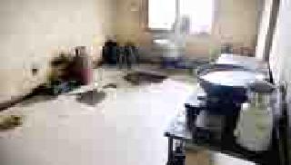 Students went hungry in college | विद्यार्थी उपाशीच गेले महाविद्यालयात Students went hungry in college | विद्यार्थी उपाशीच गेले महाविद्यालयात