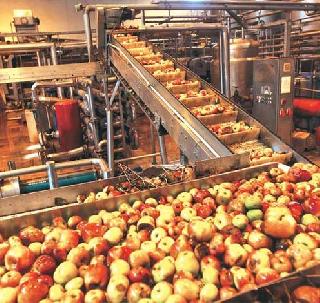 "42 mega food parks approved in the country" | "देशात एकूण 42 मेगा फूड पार्क मंजूर" "42 mega food parks approved in the country" | "देशात एकूण 42 मेगा फूड पार्क मंजूर"