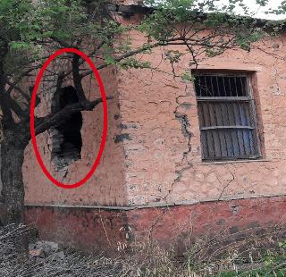 Mandwa school wall collapses | मांडवा शाळेची भिंत कोसळली