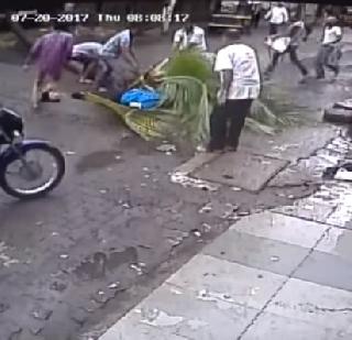 VIDEO - The death of a woman injured in a tree in Mumbai | VIDEO - मुंबईत झाड अंगावर पडून जखमी झालेल्या महिलेचा मृत्यू