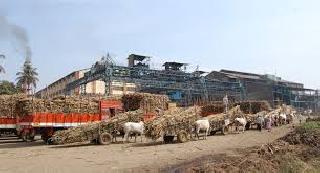 The process of 'Bidri' election has begun | ‘बिद्री’ निवडणुकीची प्रक्रिया रेंगाळली The process of 'Bidri' election has begun | ‘बिद्री’ निवडणुकीची प्रक्रिया रेंगाळली