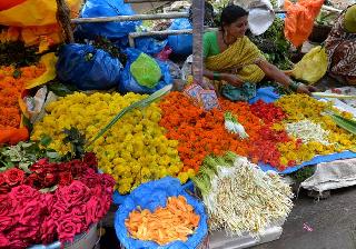 Shravan welcomes fast | उपवासानेच श्रावणाचे स्वागत Shravan welcomes fast | उपवासानेच श्रावणाचे स्वागत