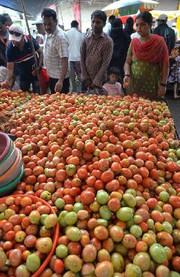 Tomato, peaked with eighty | टोमॅटो, वाटाण्याने गाठली ऐंशी Tomato, peaked with eighty | टोमॅटो, वाटाण्याने गाठली ऐंशी