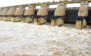 Nashik's dam full of more than half | नाशिकची धरणे निम्म्याहून अधिक भरली Nashik's dam full of more than half | नाशिकची धरणे निम्म्याहून अधिक भरली