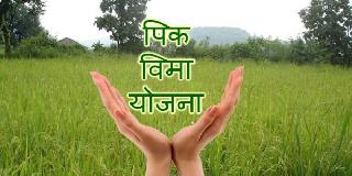 Farmers' seizure rush to fill up pakviima | पिकविमा भरण्यासाठी शेतक-यांची तोबा गर्दी Farmers' seizure rush to fill up pakviima | पिकविमा भरण्यासाठी शेतक-यांची तोबा गर्दी