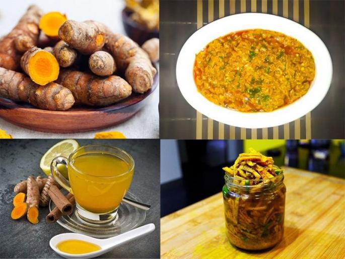 How To Make Tasty And Healthy Raw Turmeric Recipes : Raw turmeric is a must in winter diet! Make vegetables, pickles and even tea | ओल्या हळदीचा सोनसळी मौसम; हिवाळ्यात आहारात हवीच ओली हळद! करा भाजी, लोणचं आणि चहाही