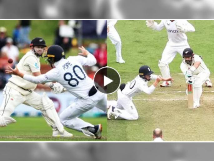 cricket video ollie pope takes 2 stunning catches Eng vs NZ 2nd test watch clip trending on social media | Olli Pope catch Video, Eng vs NZ 2nd test: आधी डावीकडे उडी, मग उजवीकडे झेप... ओली पोपने टिपले भन्नाट झेल, नक्की पाहा