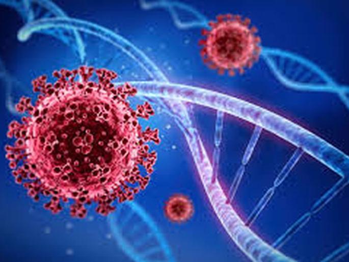 ... so they could be 57 people, the super spreader of 'Omycron'! | ... तर ते ५७ जण ठरू शकतात ‘ओमायक्रॉन’चे सुपर स्प्रेडर! ... so they could be 57 people, the super spreader of 'Omycron'! | ... तर ते ५७ जण ठरू शकतात ‘ओमायक्रॉन’चे सुपर स्प्रेडर!