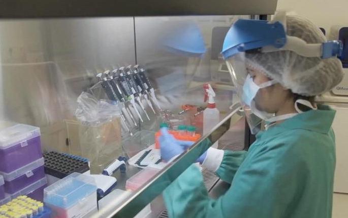 Corona infections rise in Amravati Omicron s XBB 1 16 virus infection found | अमरावतीत कोरोनाचा संसर्ग वाढला, ओमिक्राॅनच्या एक्सबीबी १.१६ विषाणूचा संसर्ग निष्पन्न