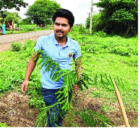 Relationship between the trees attached to the mates on the birthday of their companions ... - Omkar Chavan | सोबत्यांच्या वाढदिवसाला तरुणाने जोडले वृक्षांशी नाते...-- ओमकार चव्हाण Relationship between the trees attached to the mates on the birthday of their companions ... - Omkar Chavan | सोबत्यांच्या वाढदिवसाला तरुणाने जोडले वृक्षांशी नाते...-- ओमकार चव्हाण