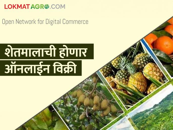 Farmers will now sell their produce directly to Amazon, Big Basket, Flipkart | शेतकरी शेतमाल आता थेट अॅमेझॉन, बिग बास्केट, फ्लिपकार्टला विकणार Farmers will now sell their produce directly to Amazon, Big Basket, Flipkart | शेतकरी शेतमाल आता थेट अॅमेझॉन, बिग बास्केट, फ्लिपकार्टला विकणार