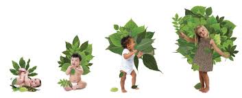 Will implement a 'one birth one tree' in the state | ‘एक जन्म-एक वृक्ष’चा अकोला पॅटर्न राज्यात राबविणार Will implement a 'one birth one tree' in the state | ‘एक जन्म-एक वृक्ष’चा अकोला पॅटर्न राज्यात राबविणार