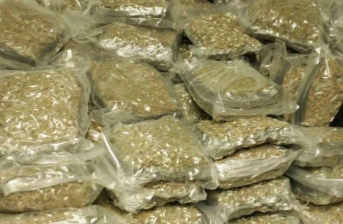 One crore marijuana caught in Buldana | बुलडाण्यात पकडला एक कोटीचा गांजा One crore marijuana caught in Buldana | बुलडाण्यात पकडला एक कोटीचा गांजा