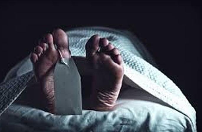 One killed in electric shock in field | शेतात विजेचा शॉक लागून एक ठार